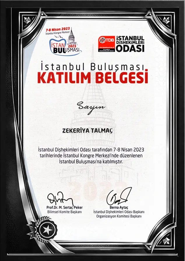 Zekeriya Talmac İstanbul Buluşması Katılım Belgesi